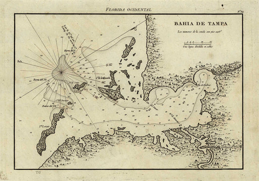 Map of Tampa Bay - 1809