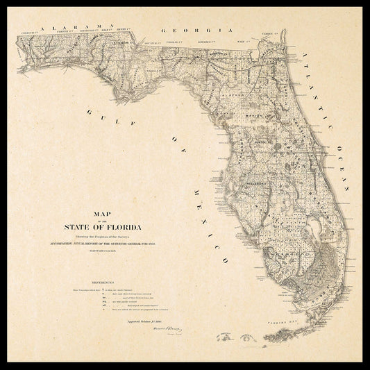 Surveyor General's Map of Florida - 1860