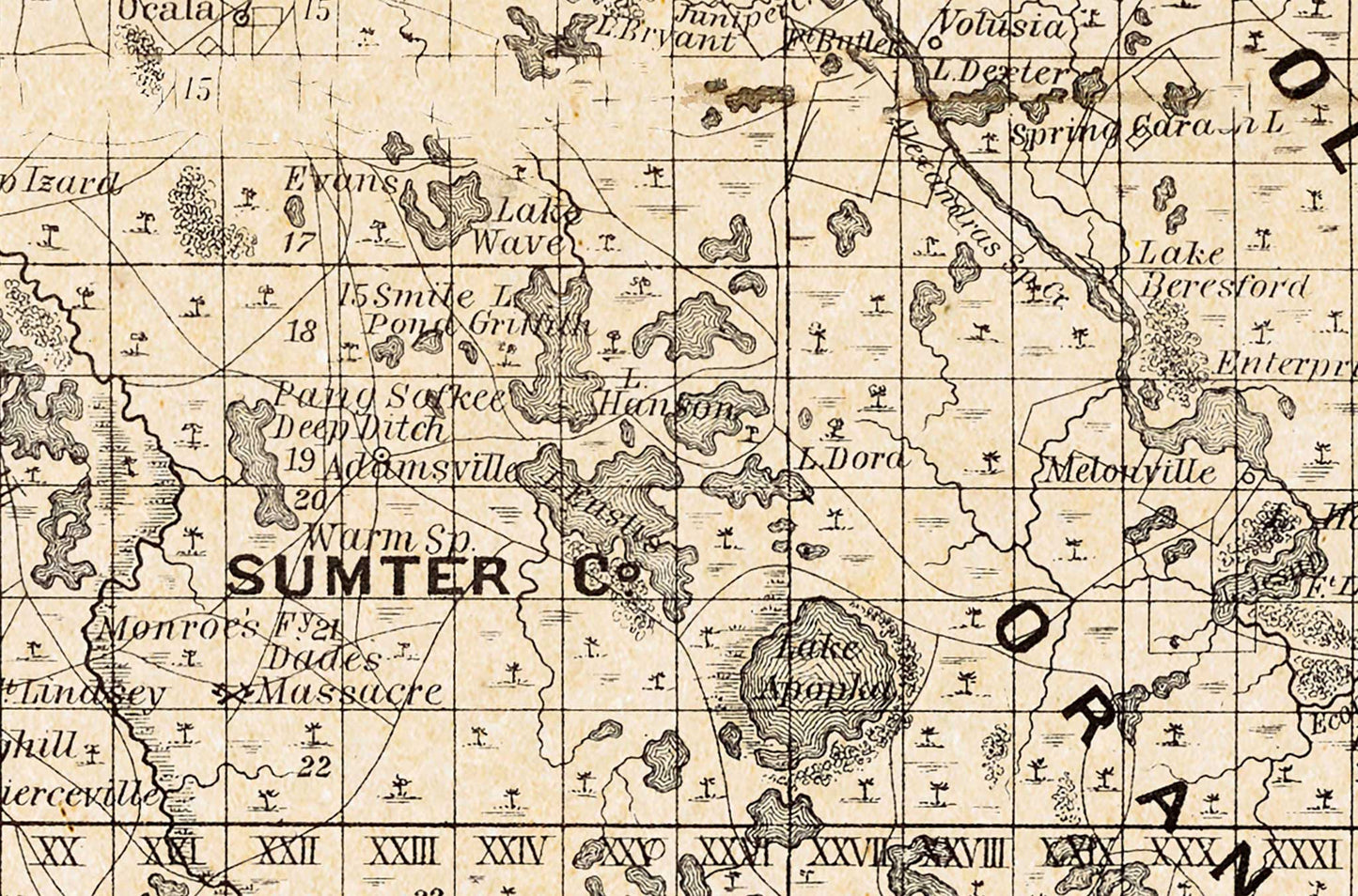 Surveyor General's Map of Florida - 1860